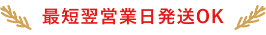 最短翌営業日発送OK